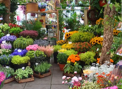 Comparison between Organic Growth Burst and synthetic products