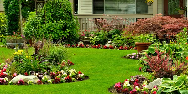 Scientific research and foundation behind Organic Growth Burst
